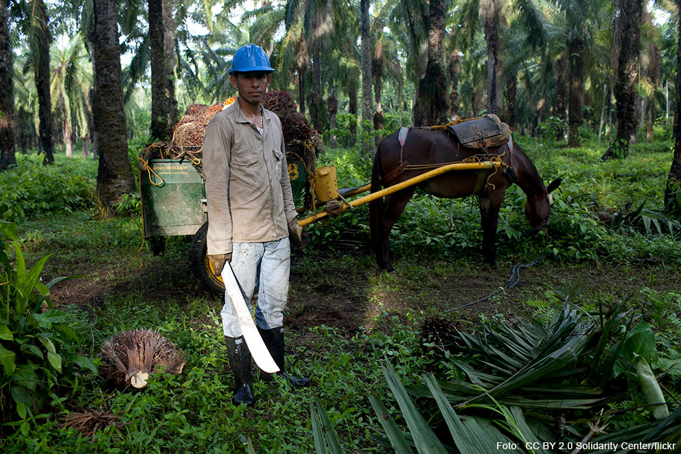 Palmölarbeiter in Arbeitskleidung steht mit Machete vor einem Karren mit Esel auf einer Plantage.