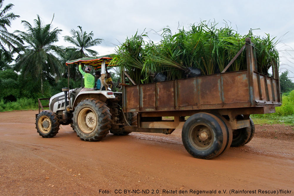 Beladener Lastwagen auf einer Palmölplantage